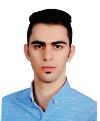 رضا مددی