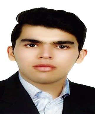 رضا گرائی