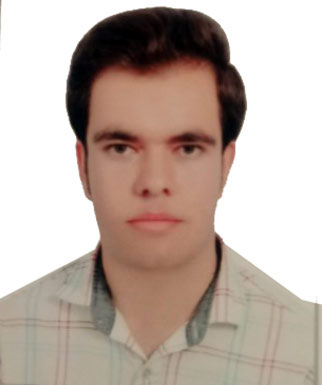 حسن کریمی منجرمویی